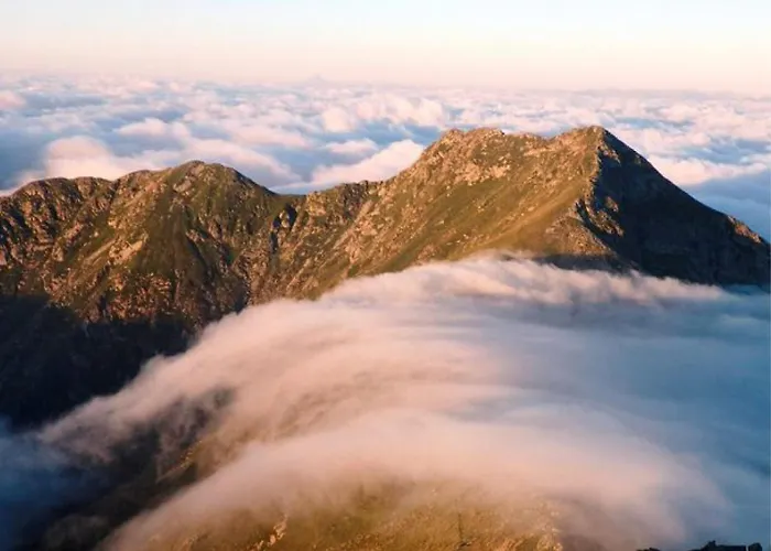 Oda ve Kahvaltı Boho House 3*